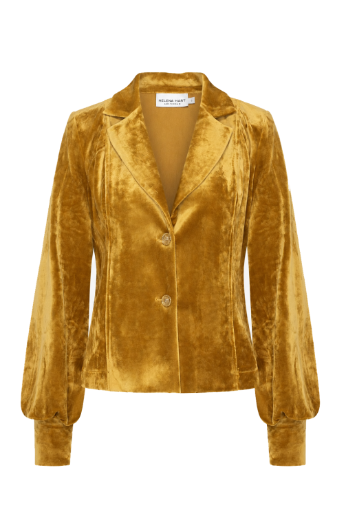7870 - BLAZER LORA VELOUR - Gold